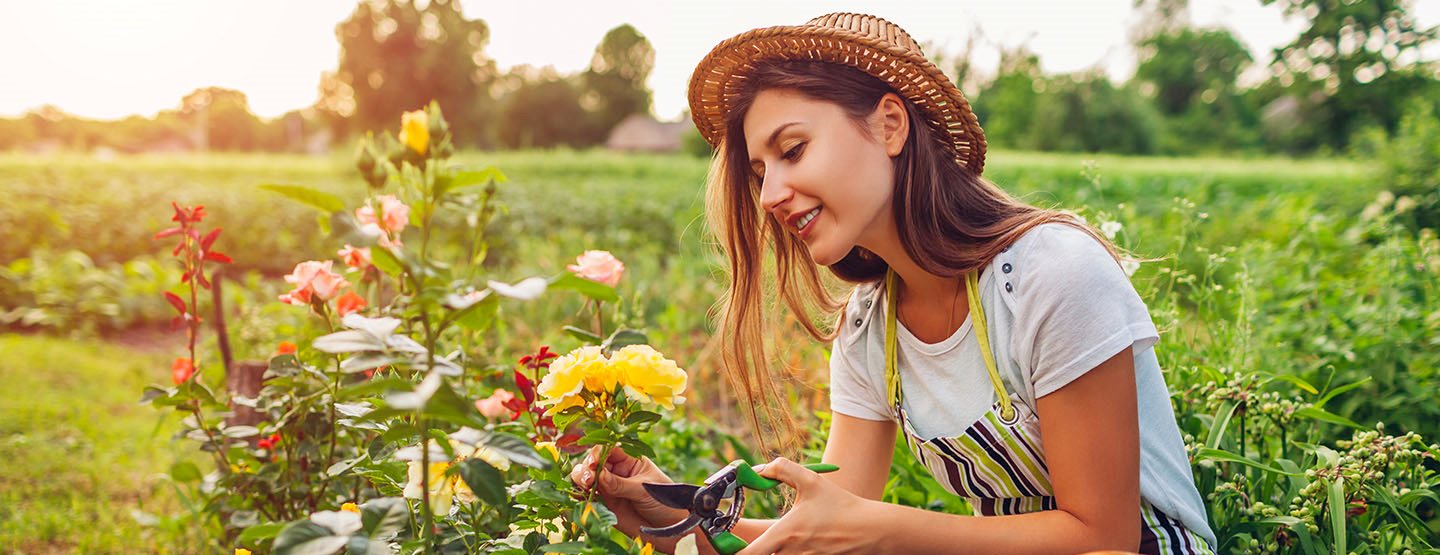 Műanyagmentes kertészkedés: 5 trükk, amivel zöld oázist teremthetsz