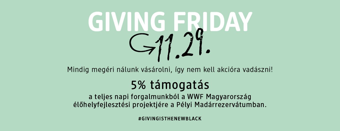 Giving Friday 2024-ben