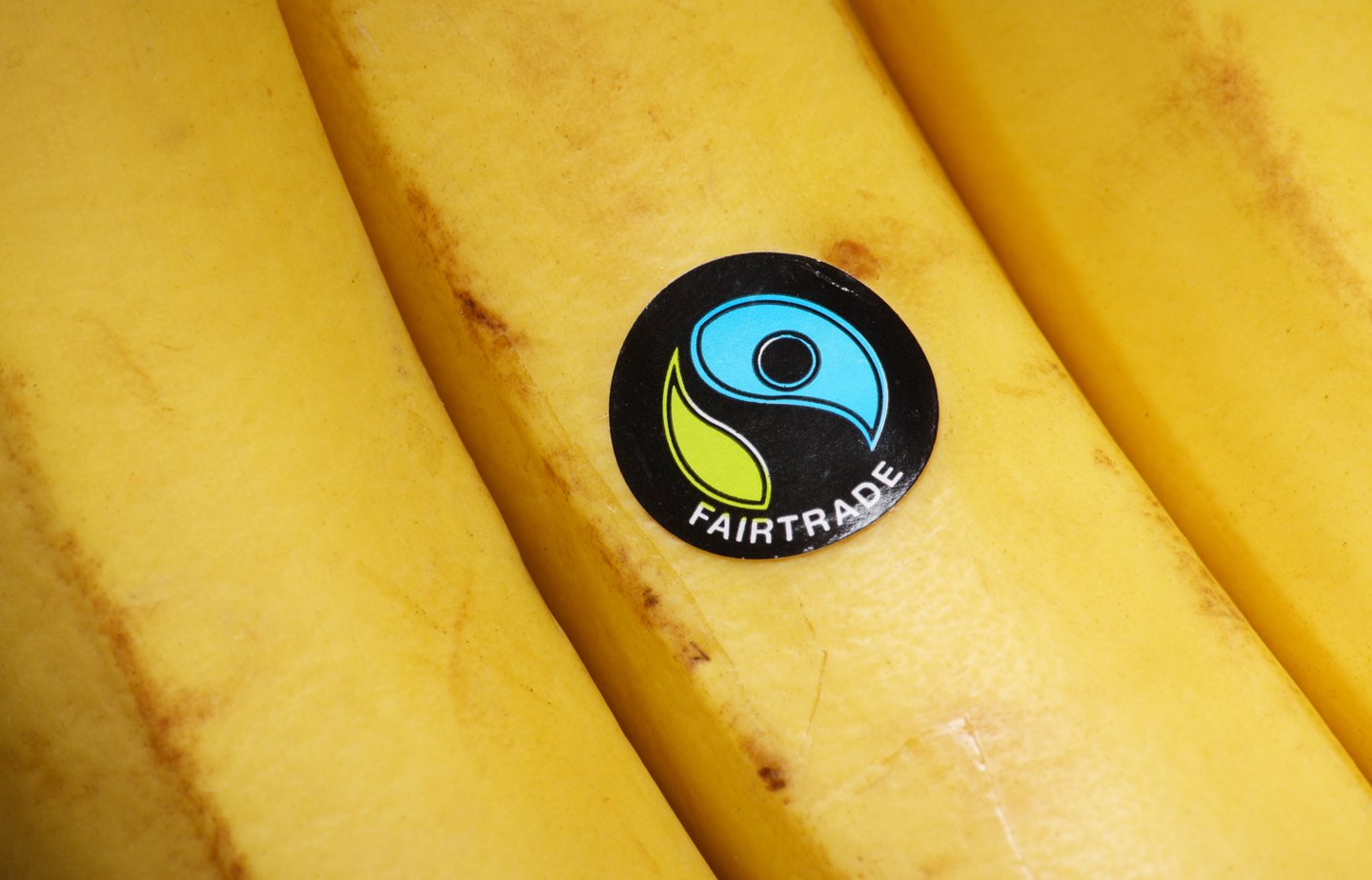 Fairtrade – Mi van a címke mögött? 