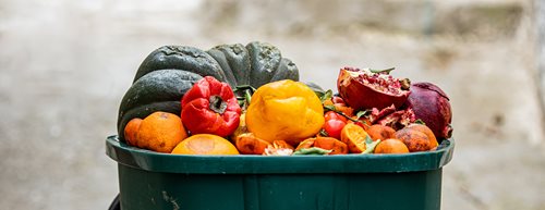 No Food Waste: Így menthetsz élelmiszert a mindennapokban és önkéntesként