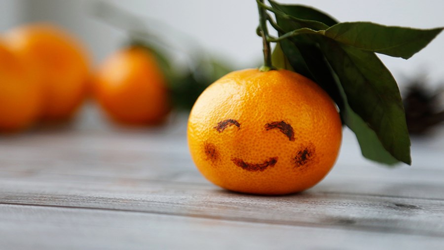 active beauty - A szépség, divat és életmód női magazinja