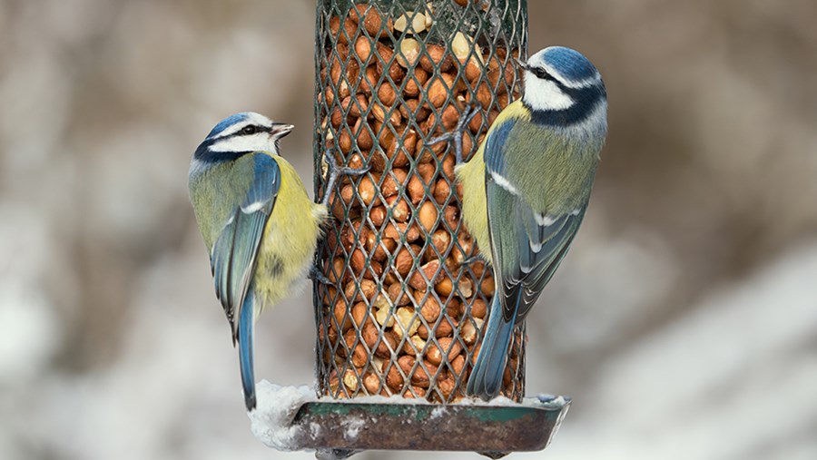 active beauty - A szépség, divat és életmód női magazinja