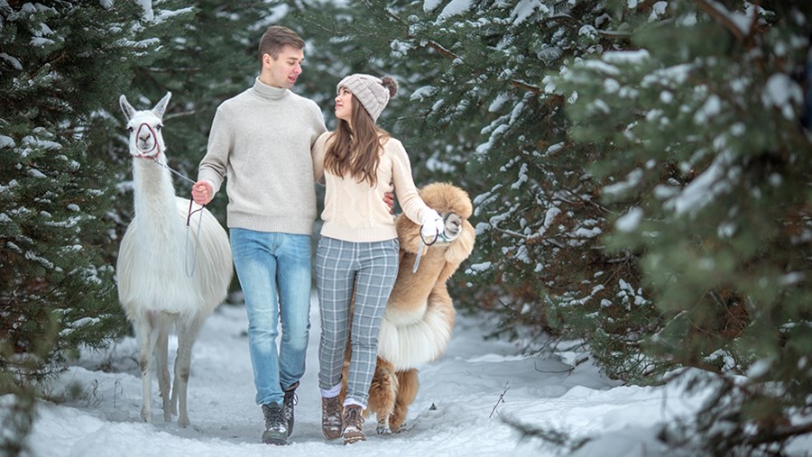 active beauty - A szépség, divat és életmód női magazinja